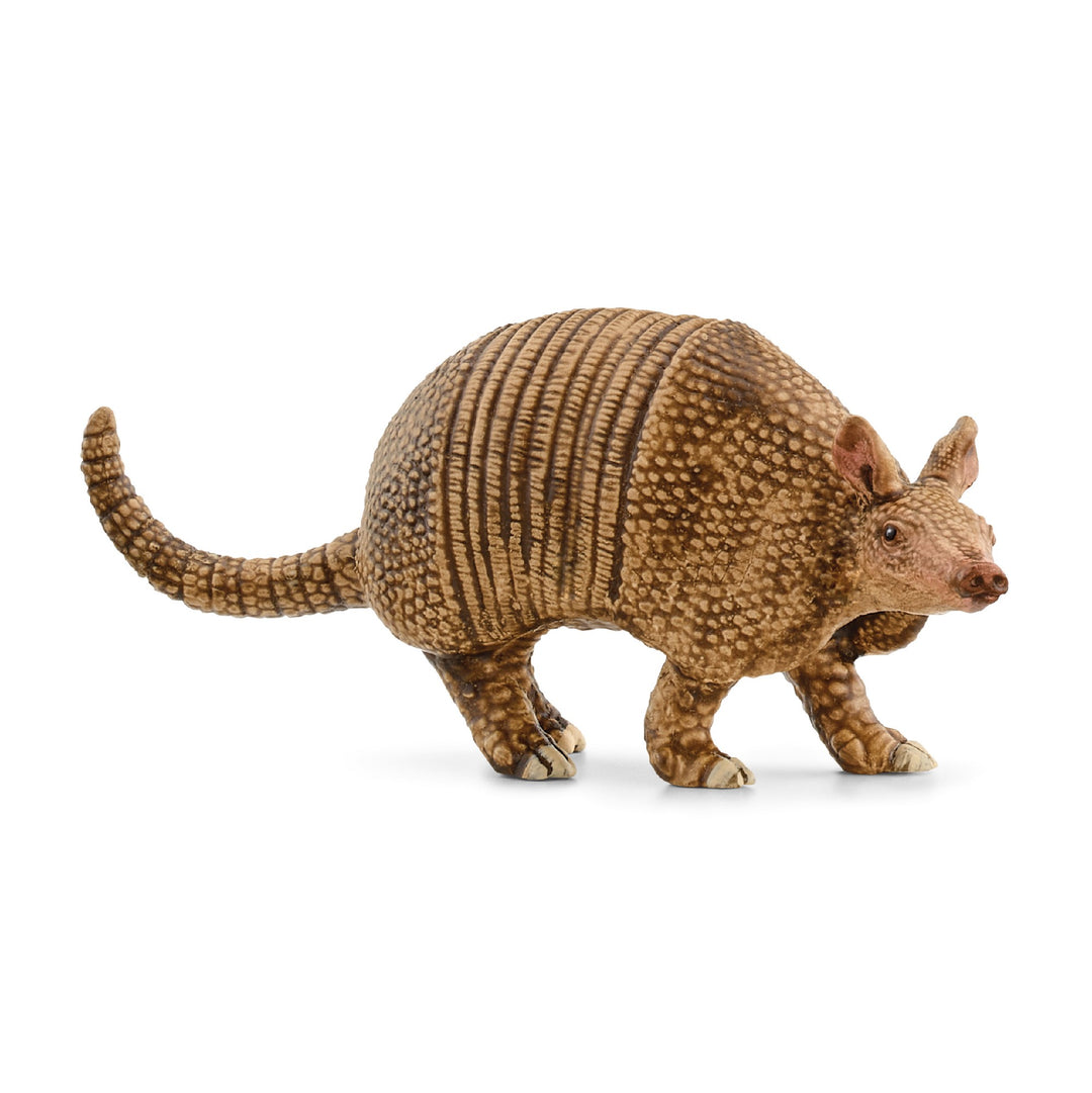 SCHLEICH - ARMADILLO