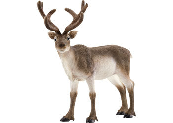 SCHLEICH - REINDEER 