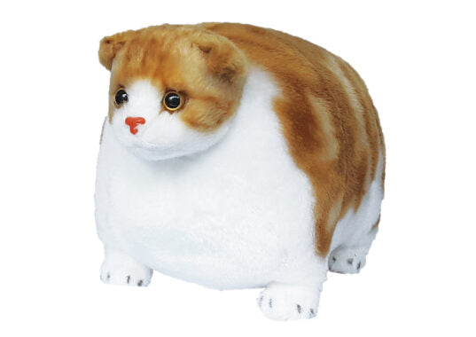 TACCHII ZOO PLUSHIES - FAT CAT PLUSHIE: SCOTTISH FOLD **PRE ORDER COMING SOON