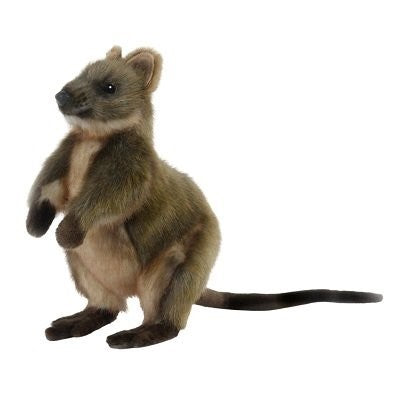 HANSA - PLUSH ANIMAL: QUOKKA 22CM