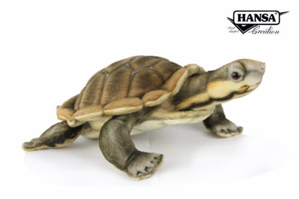 HANSA - PLUSH ANIMAL: MANNING RIVER TURTLE 28CM