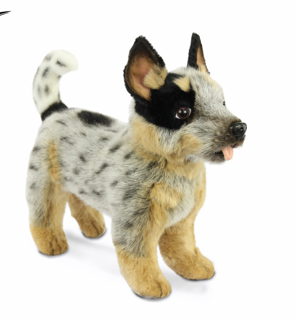 Stuffed blue heeler cheap