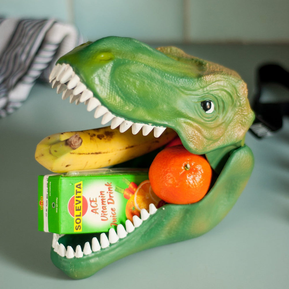 SUCK UK - DINO CASE 