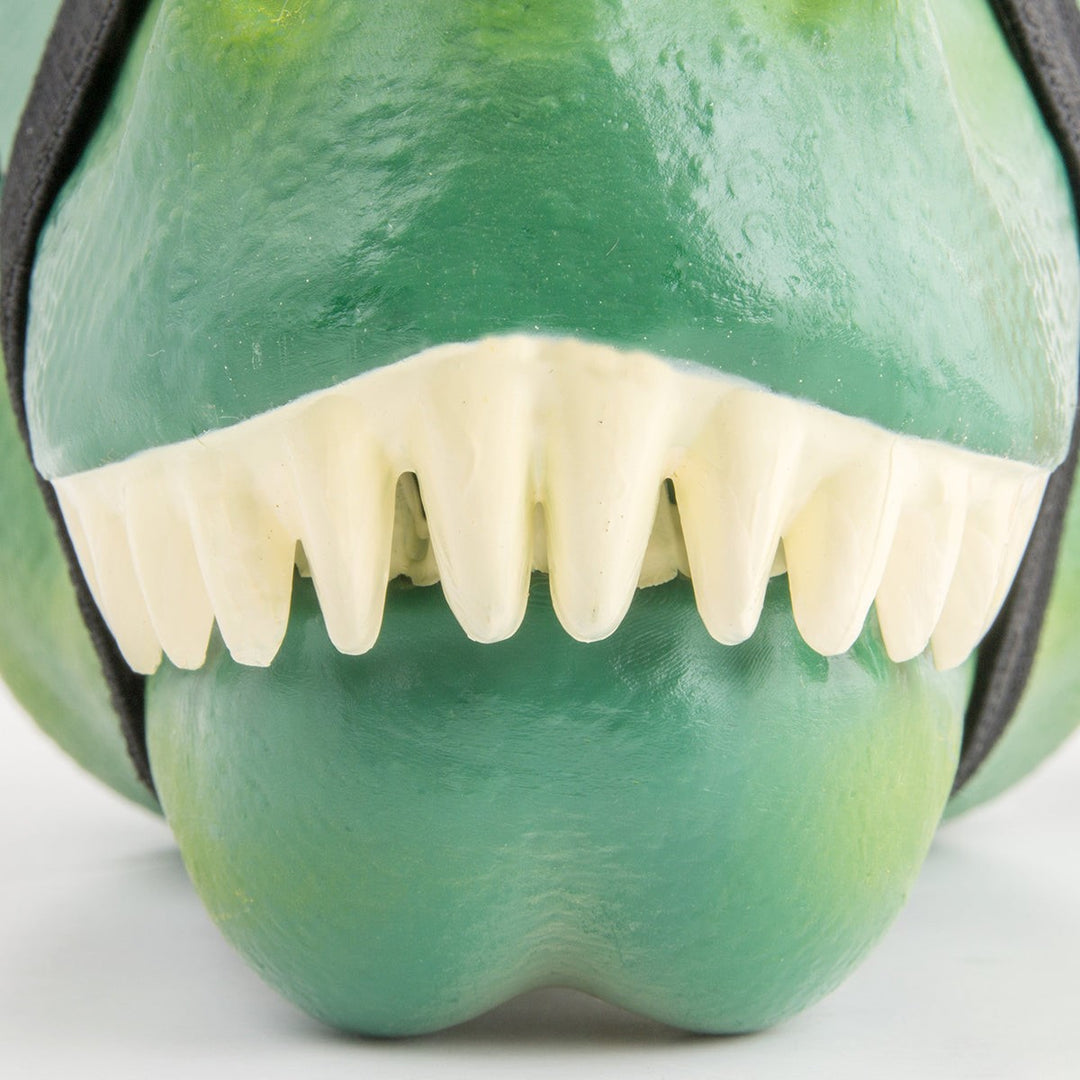 SUCK UK - DINO CASE 