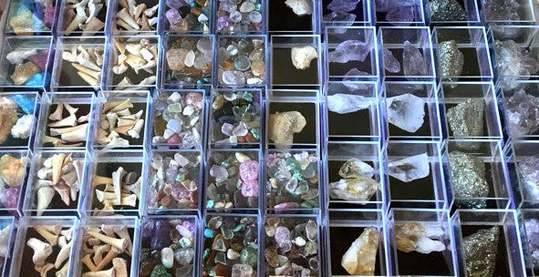 FOSSILS - SMALL FOSSIL MINERAL BOX
