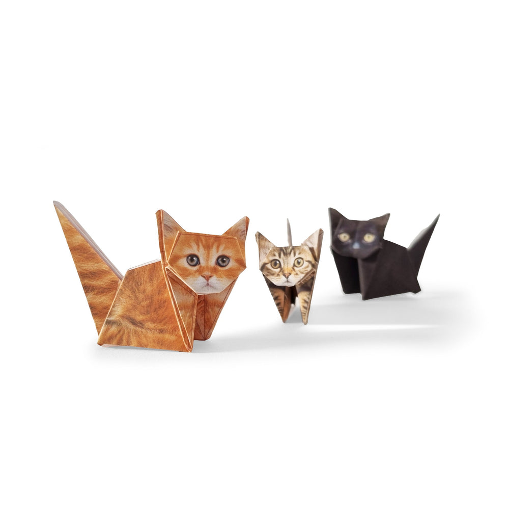 PIKKI - PAPER CATS 