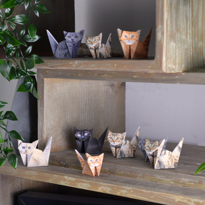 PIKKI - PAPER CATS 