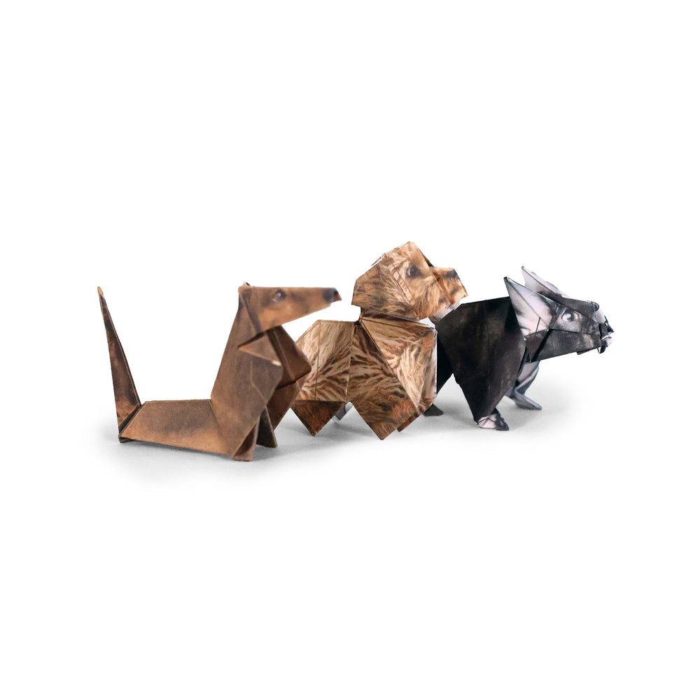PIPPI - PAPER PUPS 