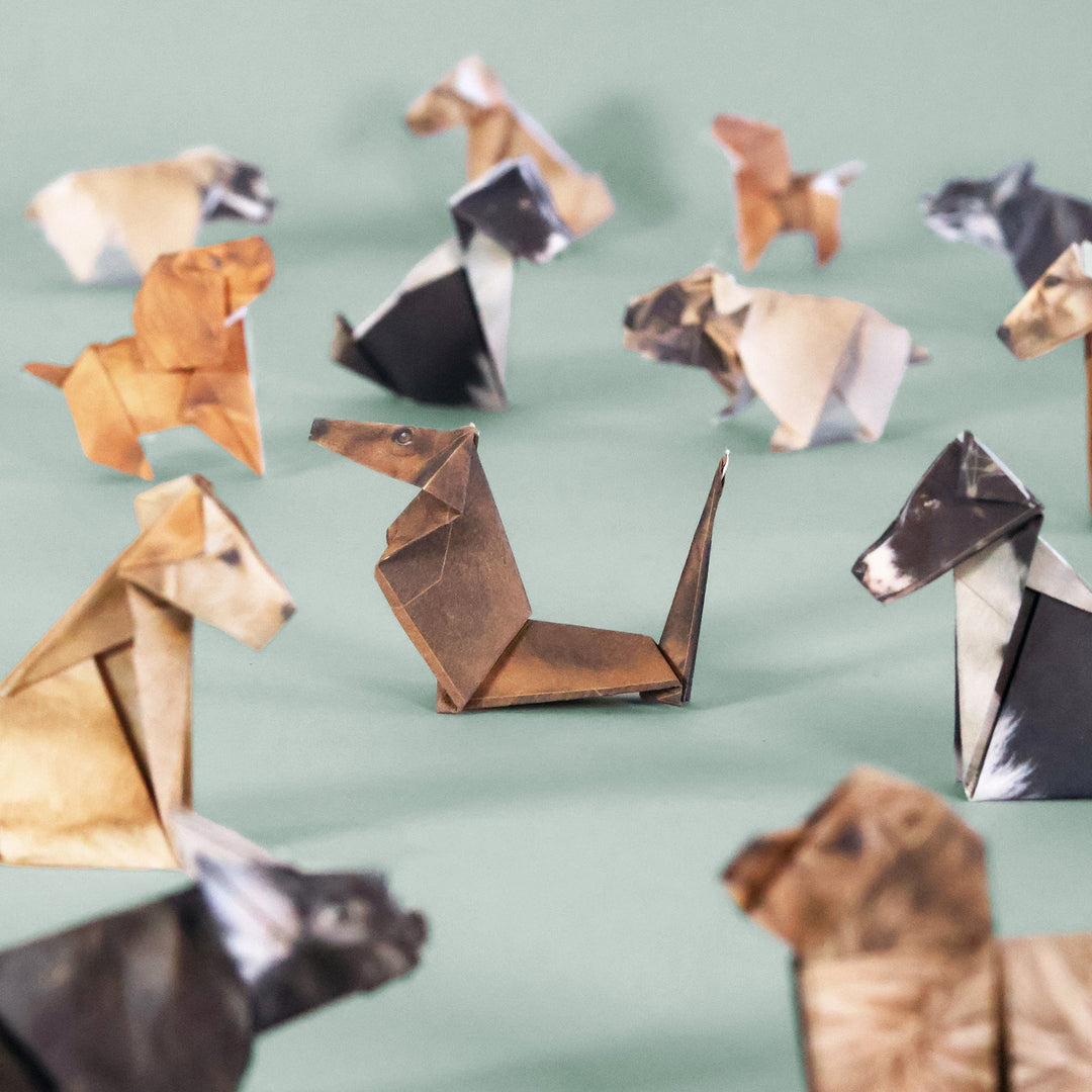 PIPPI - PAPER PUPS 