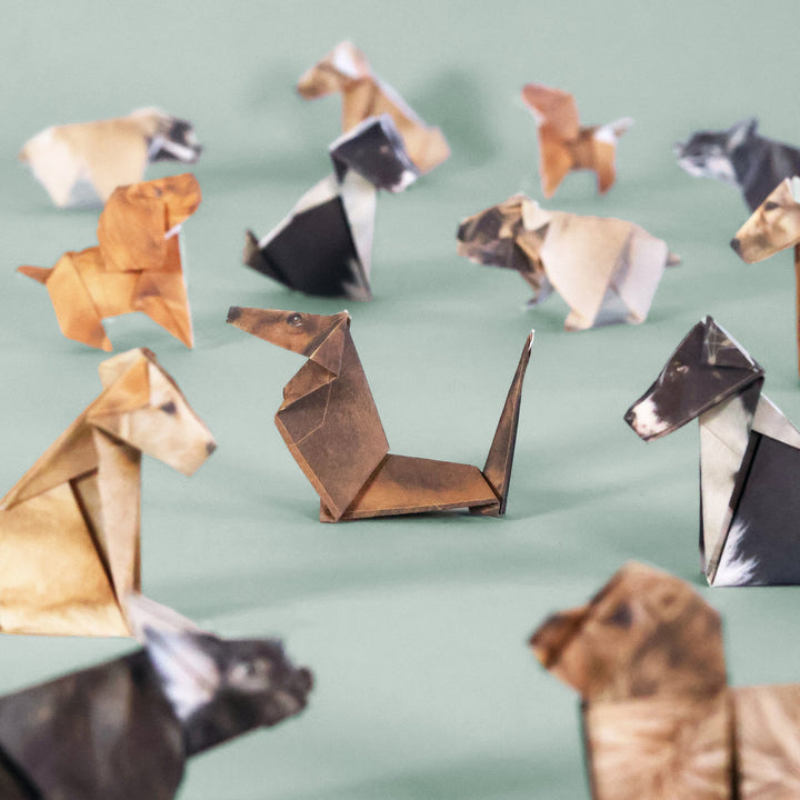 PIPPI - PAPER PUPS 