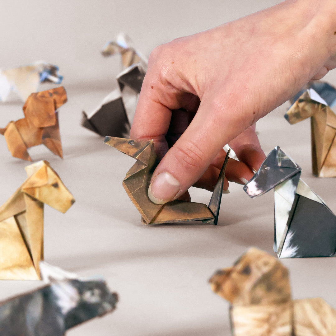 PIPPI - PAPER PUPS 