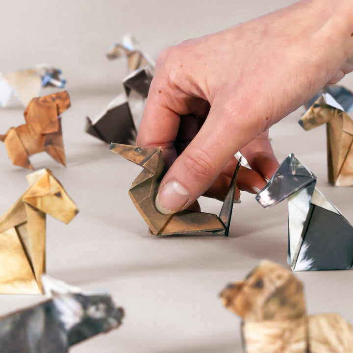 PIPPI - PAPER PUPS 