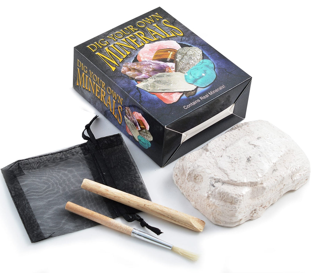 BRITISH FOSSILS - DIG YOUR OWN MINERALS