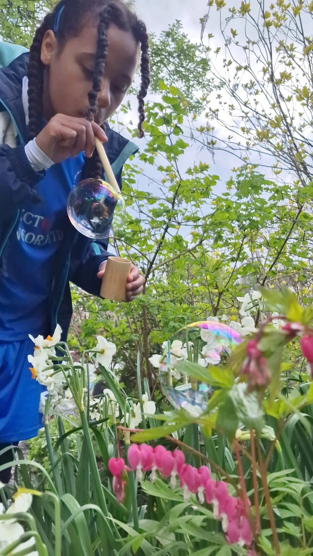 DR ZIGS - BUBBLING POLLINATOR KIT