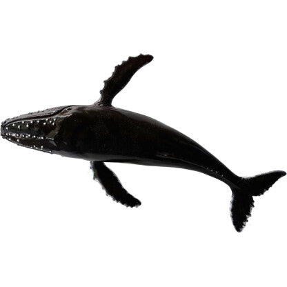 RECUR - HUMPBACK WHALE