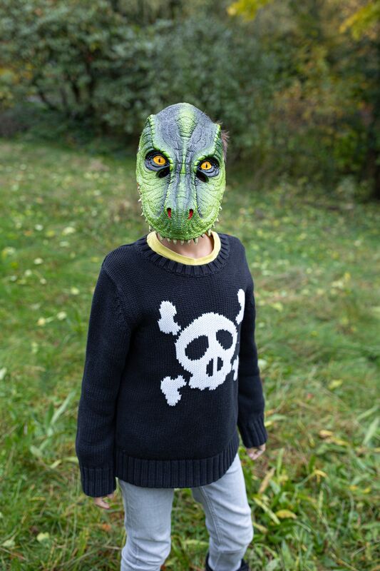 GREAT PRETENDERS - DRESS UP: T REX DINO MASK