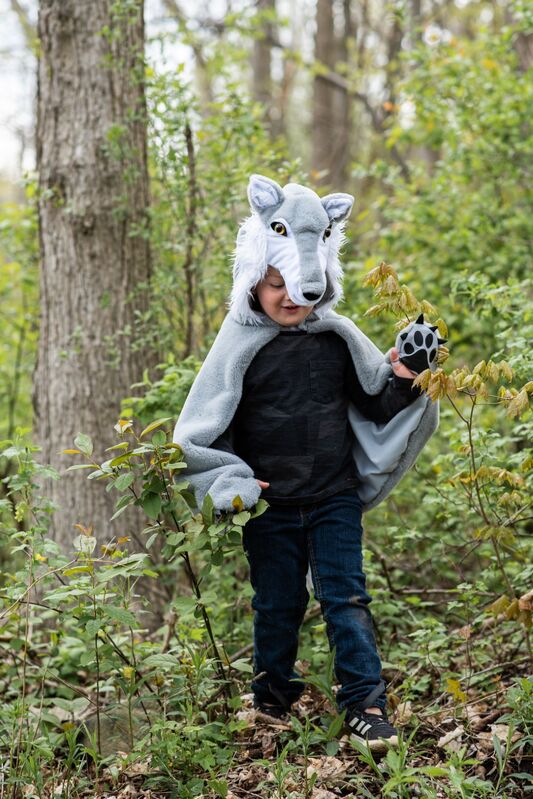 GREAT PRETENDERS - DRESS UP: WOODLAND STORYBOOK WOLF CAPE [sz:4-6 YRS]