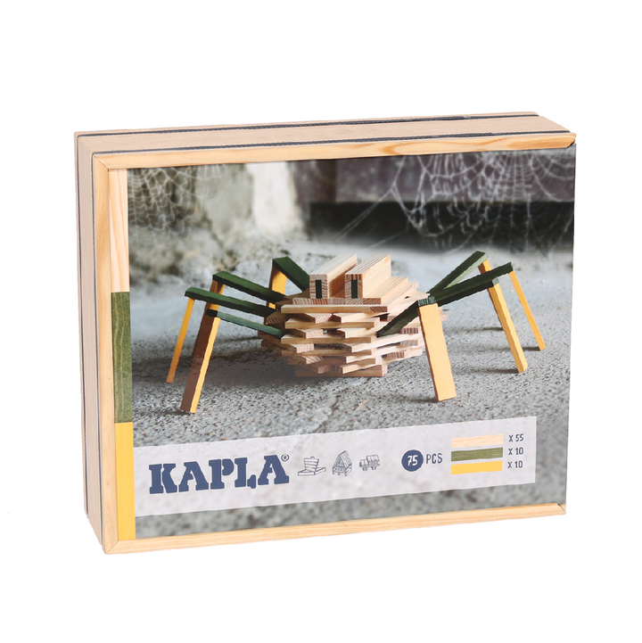 KAPLA - SPIDER CASE BUILDING PLANK SET