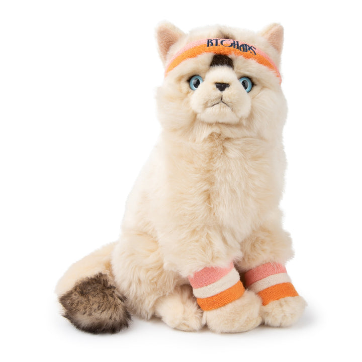 BON BON TOYS - B.T CHAPS: DOLLY THE RAGDOLL 