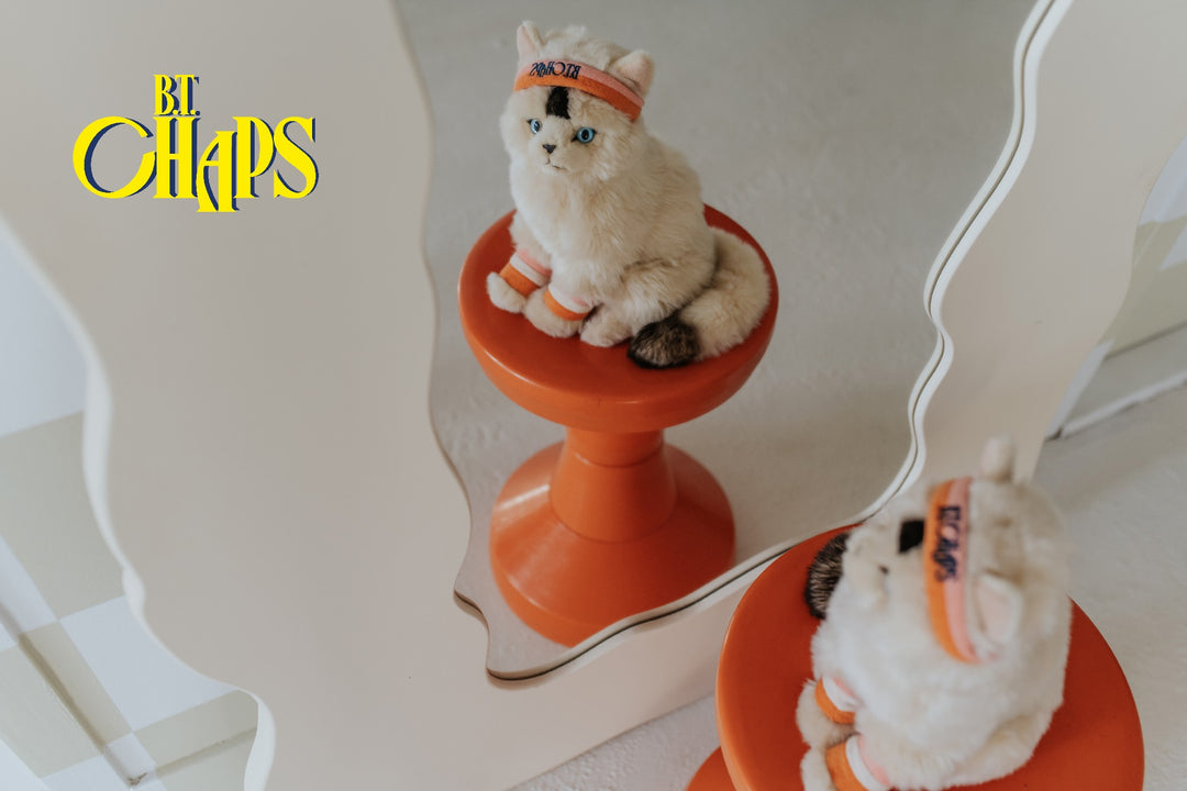 BON BON TOYS - B.T CHAPS: DOLLY THE RAGDOLL 