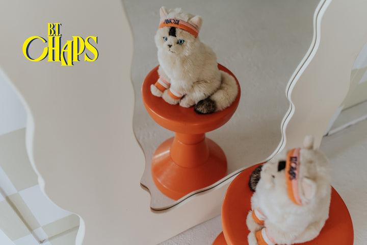 BON BON TOYS - B.T CHAPS: DOLLY THE RAGDOLL 