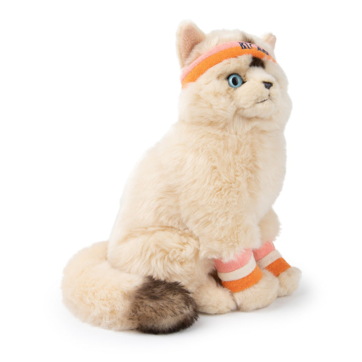BON BON TOYS - B.T CHAPS: DOLLY THE RAGDOLL 