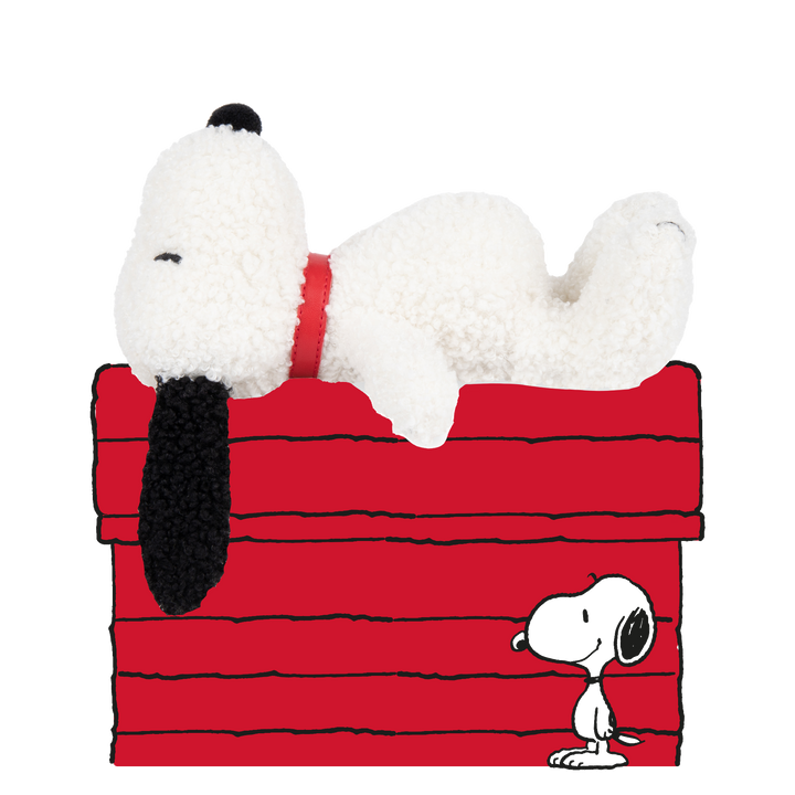 BON TON TOYS - SNOOPY TINY TEDDY IN GIFT BOX 