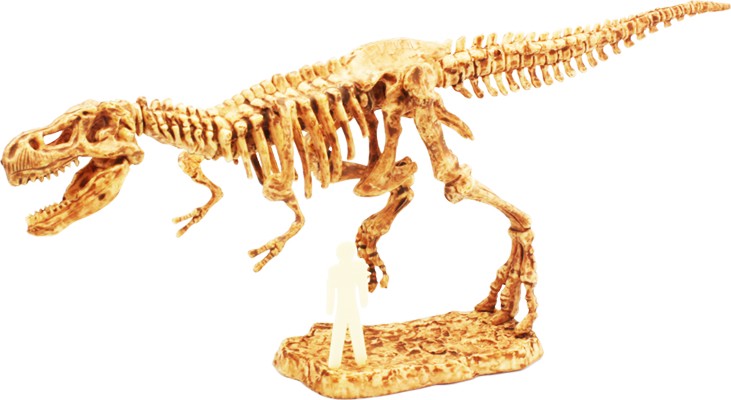 DISCOVER SCIENCE - T REX EXCAVATION 