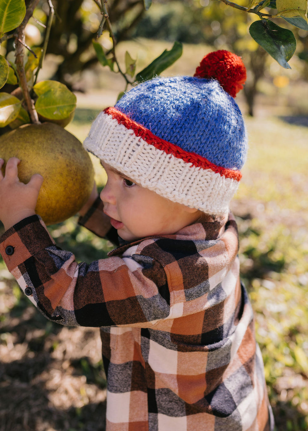 ACORN KIDS - TEDDY BEANIE: BLUE AND RED [sz:S (6-18 MTHS)]