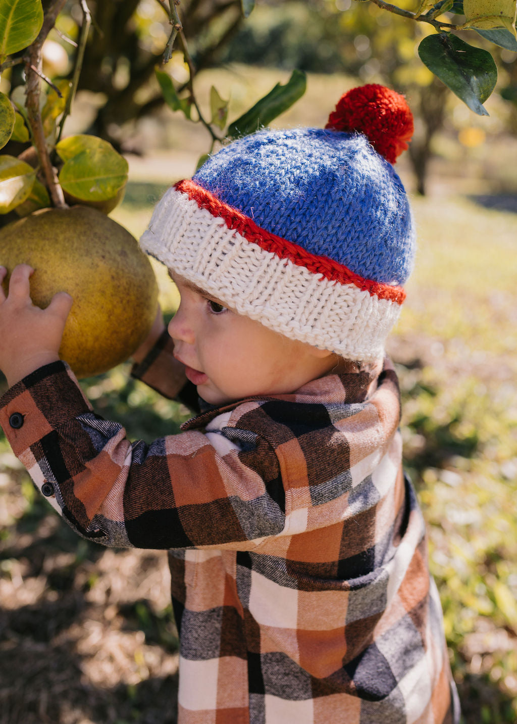 ACORN KIDS - TEDDY BEANIE: BLUE AND RED [sz:S (6-18 MTHS)]