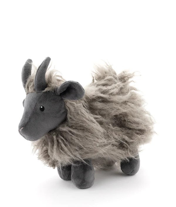 NANA HUCHY - AIDEN THE ANGORA GOAT