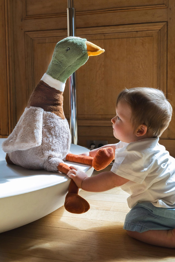 NANA HUCY - BIG HUGO MALLARD THE DUCK