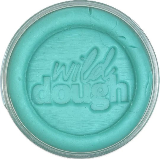 WILD DOUGH - PLAYDOUGH: SEA GLASS TEAL 