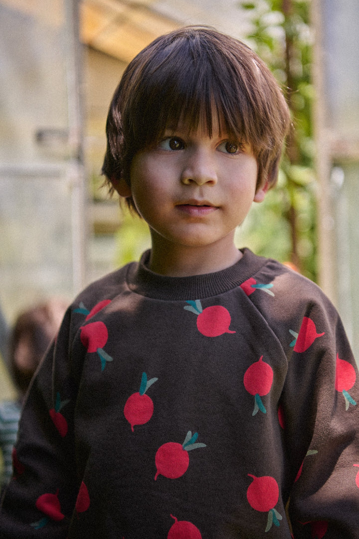 NATURE BABY - EMERSON SWEATER: GRANDE RADISH PRINT [sz:6-12 MTHS]