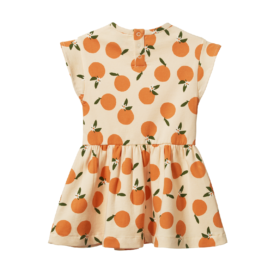 NATURE BABY - TWIRL DRESS: GRANDE ORANGE BLOSSOM PRINT