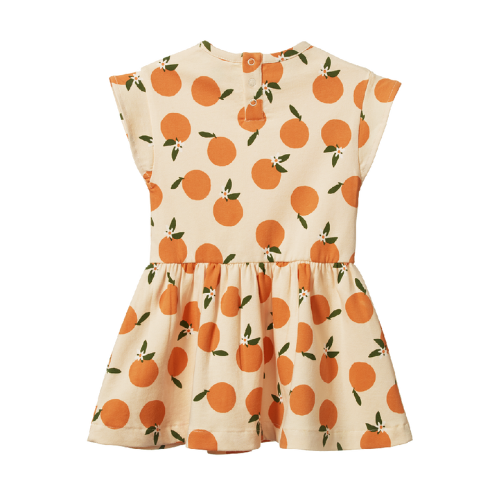 NATURE BABY - TWIRL DRESS: GRANDE ORANGE BLOSSOM PRINT