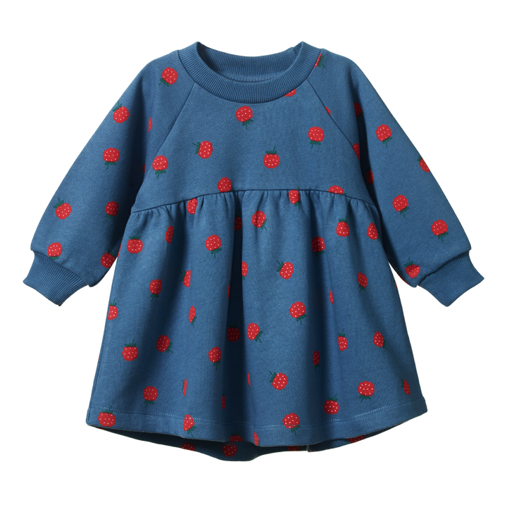 NATURE BABY - INES DRESS: RASPBERRY BLUE PRINT [sz:6-12 MTHS]