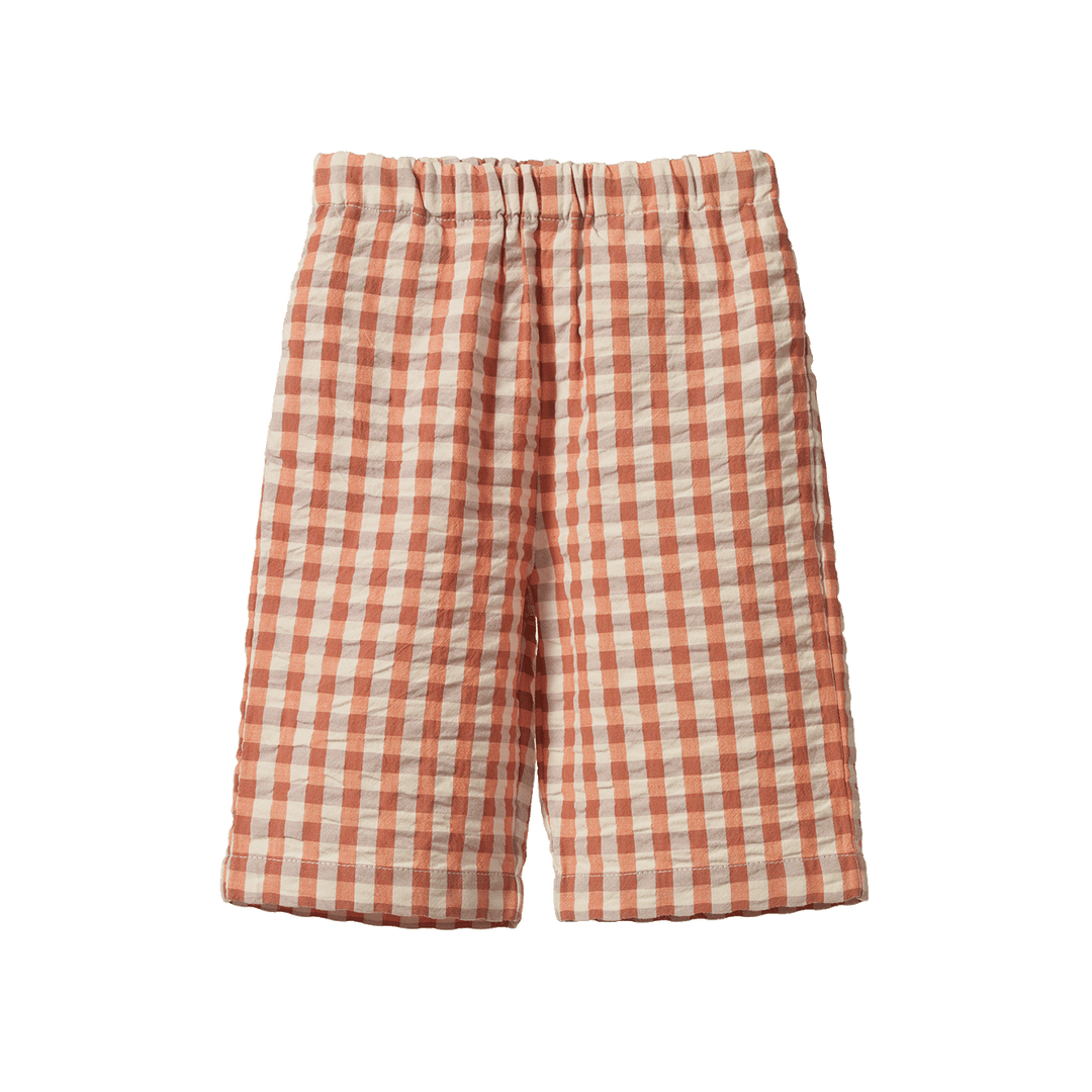 NATURE BABY - PIPPIN PANTS: DANDELION GINGHAM [sz:6-12 MTHS]