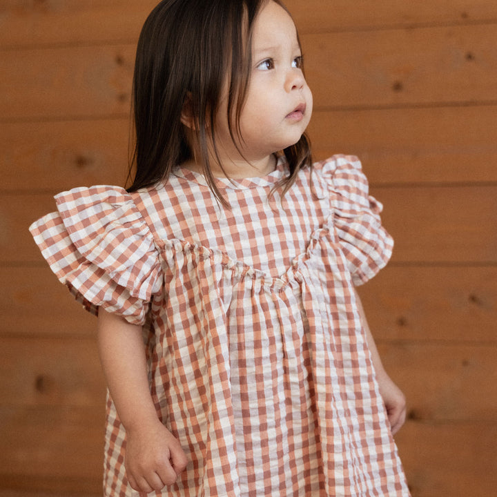NATURE BABY - UNA DRESS: DANDELION GINGHAM [sz:6-12 MTHS]