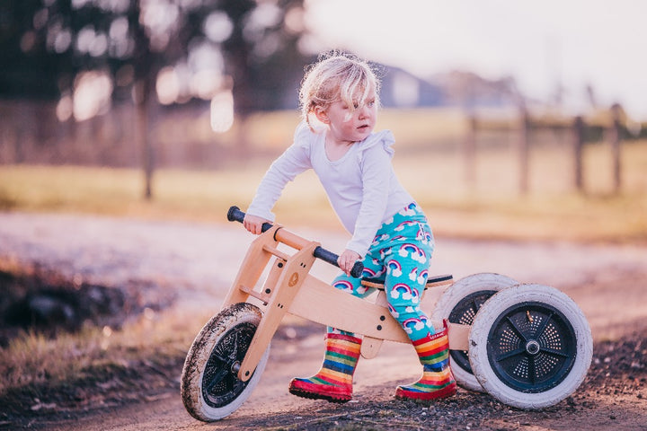WISHBONE DESIGN - 3 IN 1 BALANCE BIKE 