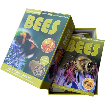 WORLD OF DISCOVERY - BEES BOXED SET 