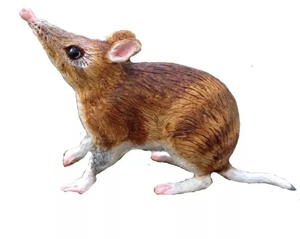 SMALL ANIMAL REPLICA - BANDICOOT